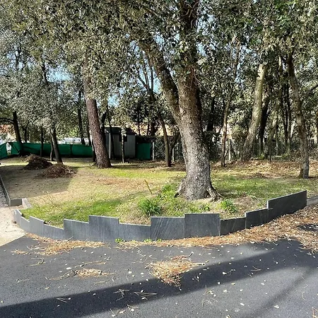 Maison Familiale Au Coeur Des Pins Avec Jardin, Proche Plage, Animaux Acceptes, 700m De La Cote. - Fr-1-22-363 La Tranche-sur-Mer